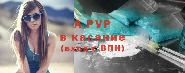 PSILOCYBIN Переславль-Залесский