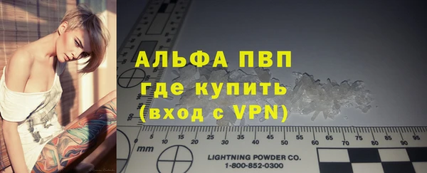 дживик Пересвет