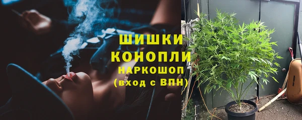 PSILOCYBIN Переславль-Залесский