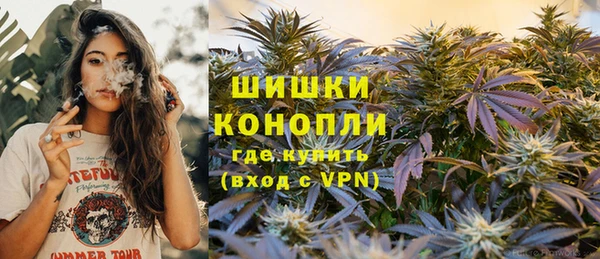 PSILOCYBIN Переславль-Залесский