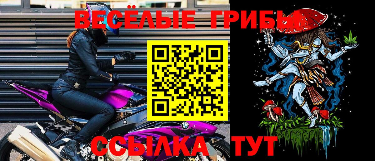 Псилоцибиновые грибы GOLDEN TEACHER Боровичи