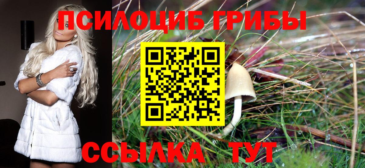 Боровичи  Галлюциногенные грибы мицелий  Вход с VPN  закладки  Псилоцибиновые грибы мицелий 