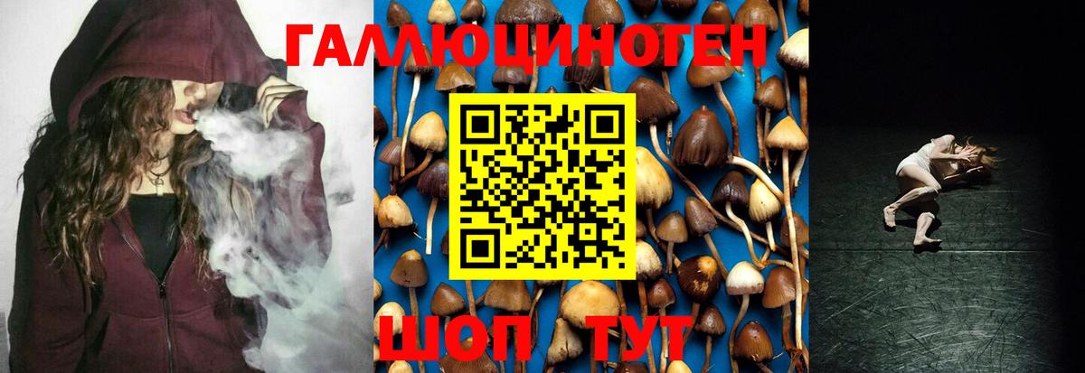 где найти наркотики  Боровичи  Псилоцибиновые грибы MAGIC MUSHROOMS  Галлюциногенные грибы GOLDEN TEACHER 